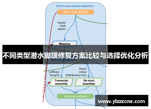 不同类型潜水脚蹼修复方案比较与选择优化分析