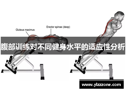 腹部训练对不同健身水平的适应性分析